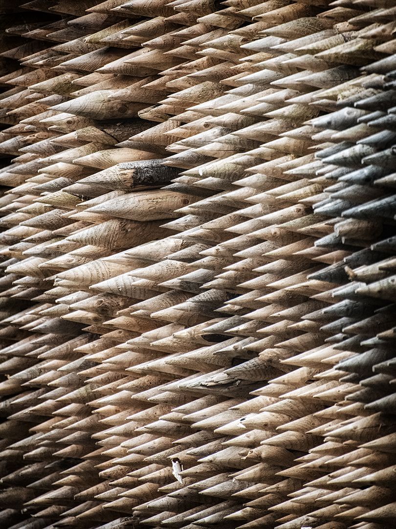 Many Poles, Fotografie eines Stapels angespitzter Zaunpfähle von Herdis Schönborn, Fotoclub Schleswig