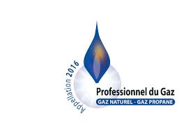 professionnels du gaz logo