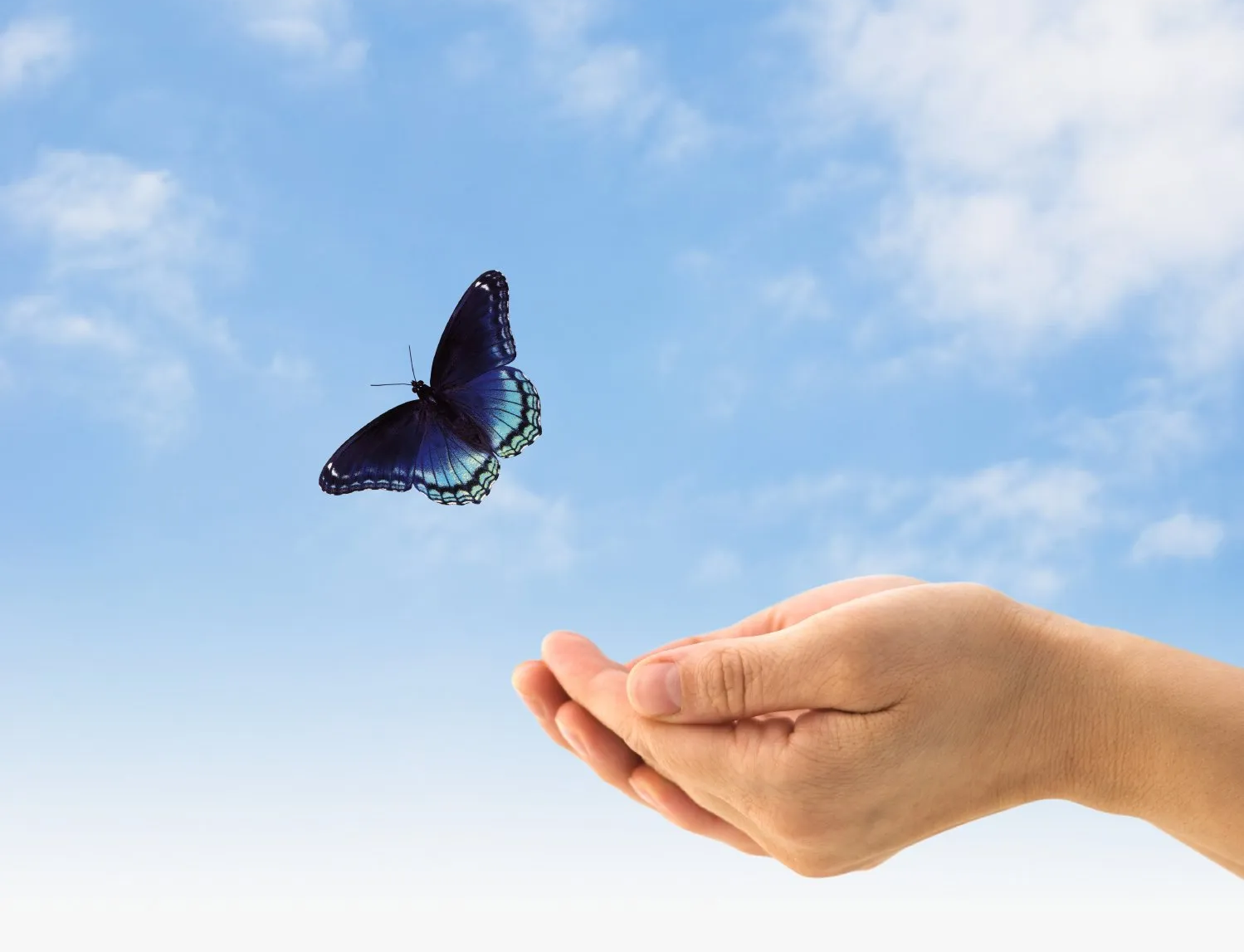 Astrologische Beratung, Astrologin, Dipl.-Psychologin