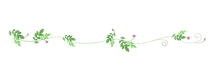 flower divider icon