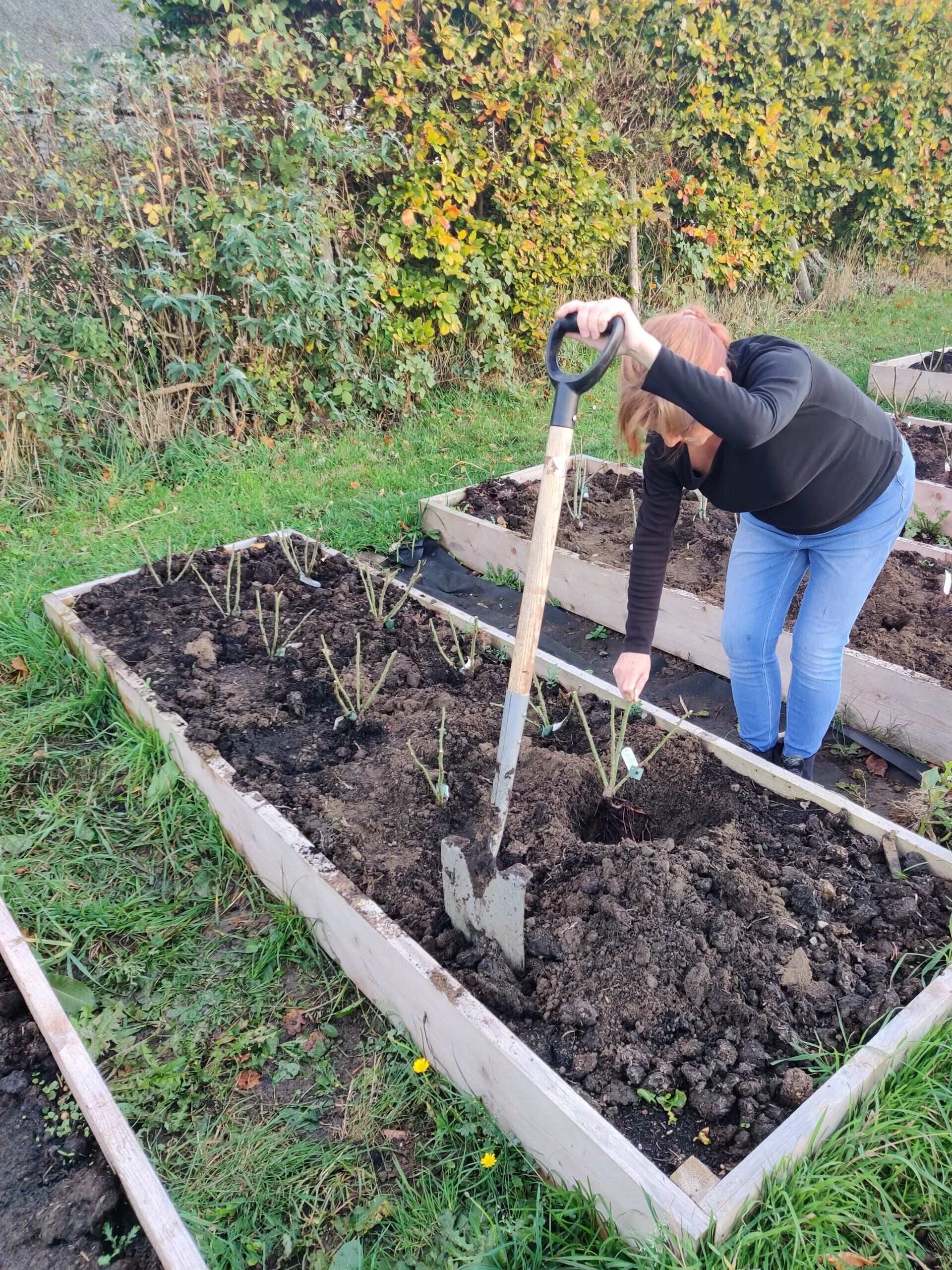 Paula waiting for Nick to help her with the shovel!