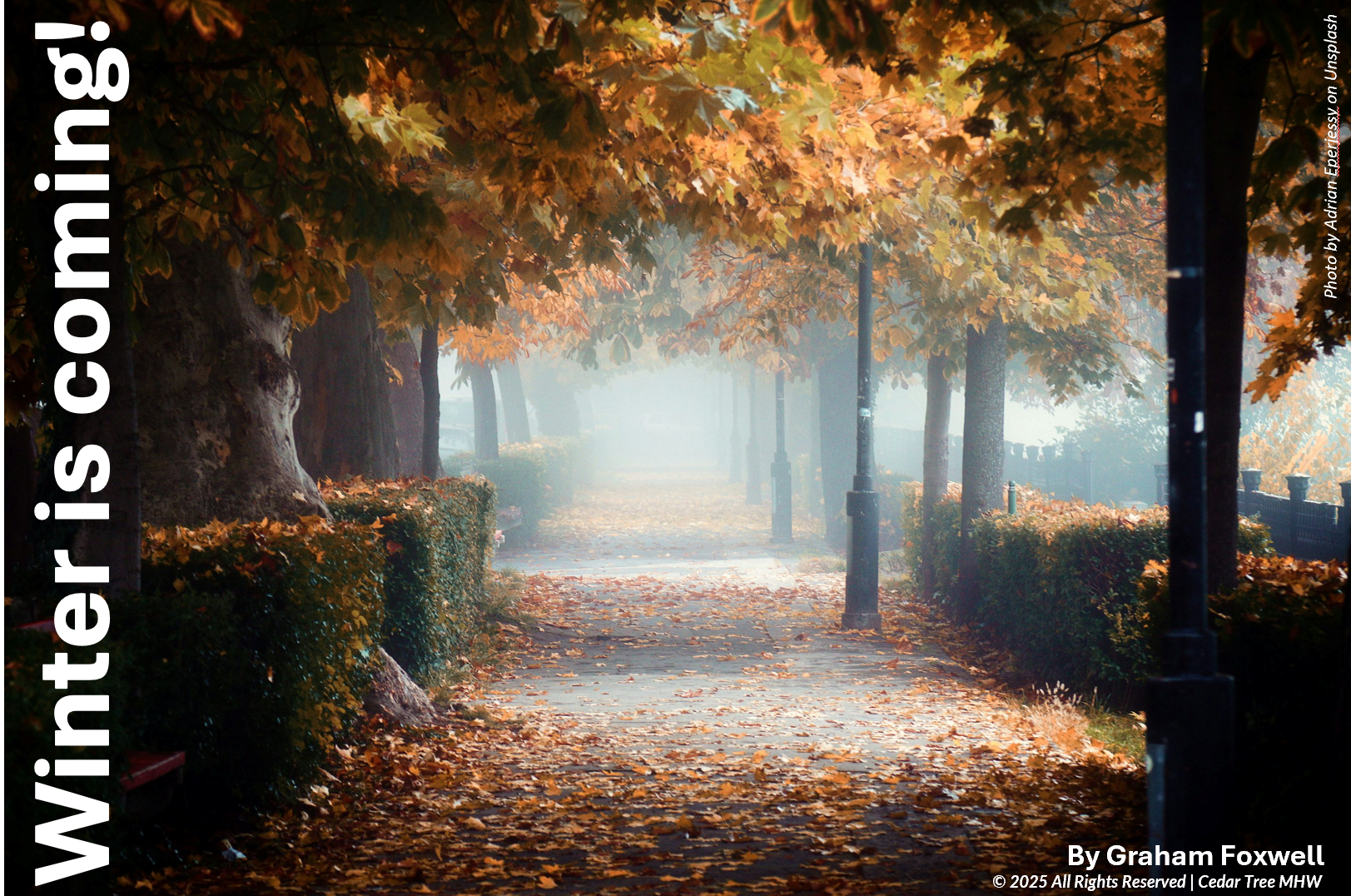 Embrace the Power of Diversity!