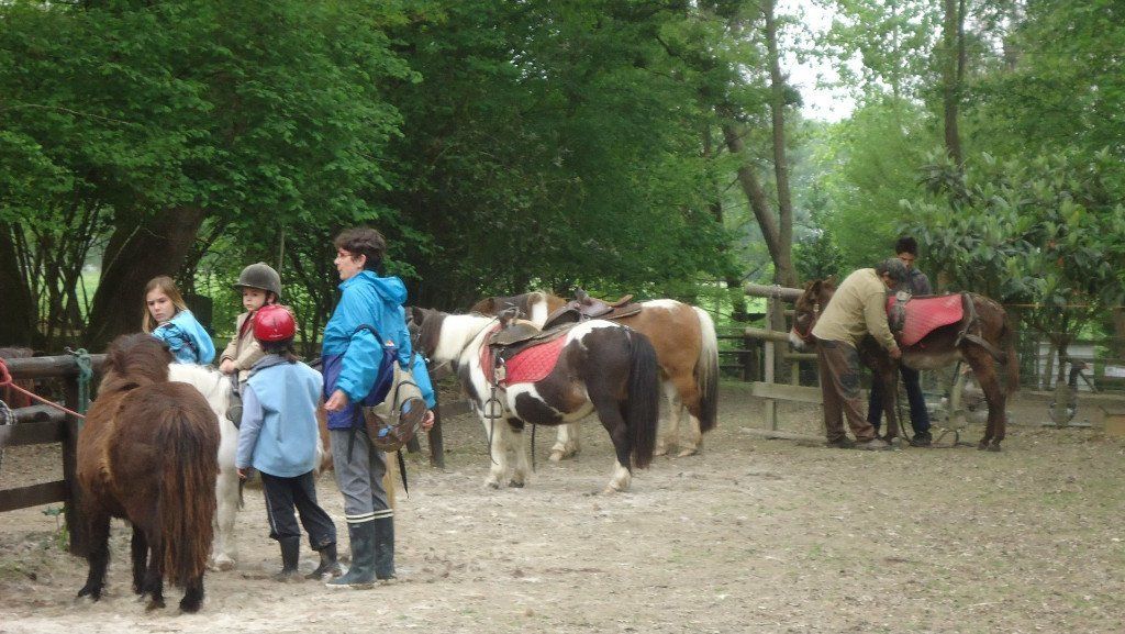 Poneys