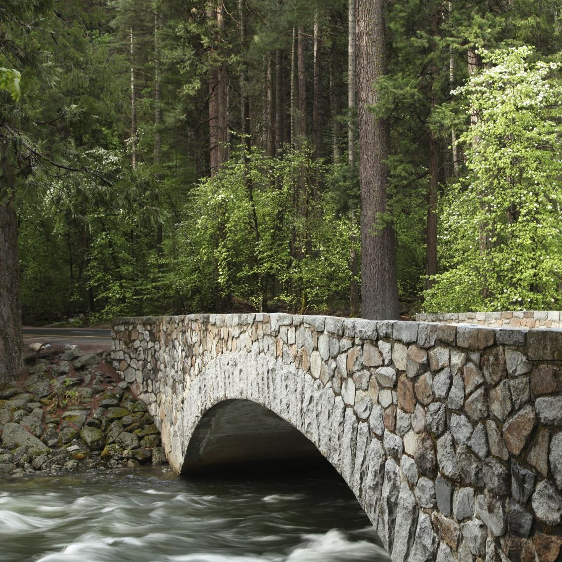 Verbindung schaffen - Coaching, das echten Mehrwert stiftet und neue Wege eröffnet.