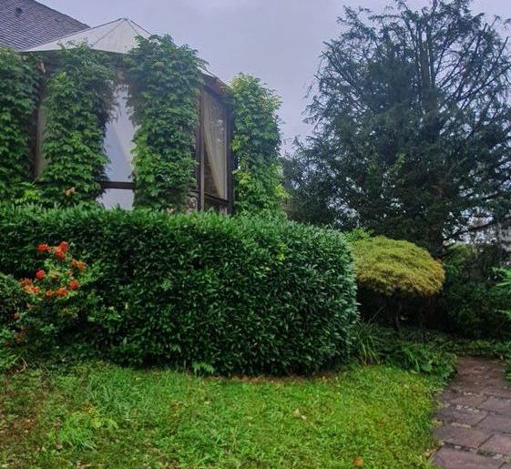 Gartenpflege