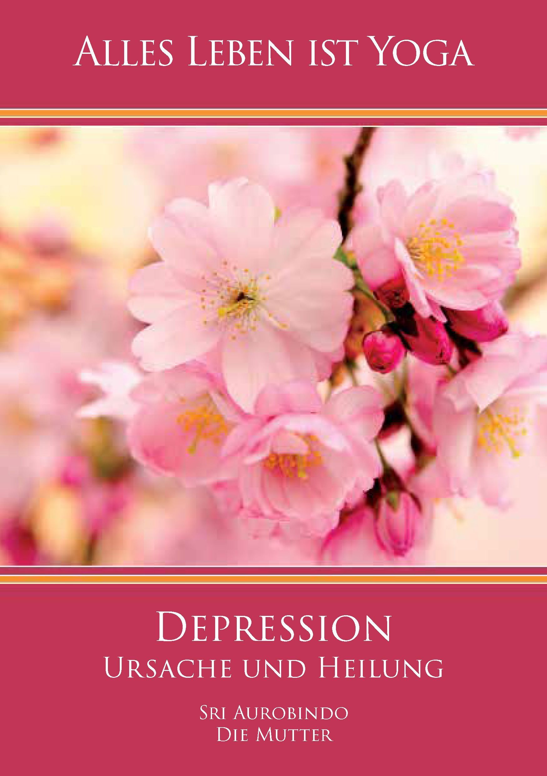 Depression - Ursache und Heilung