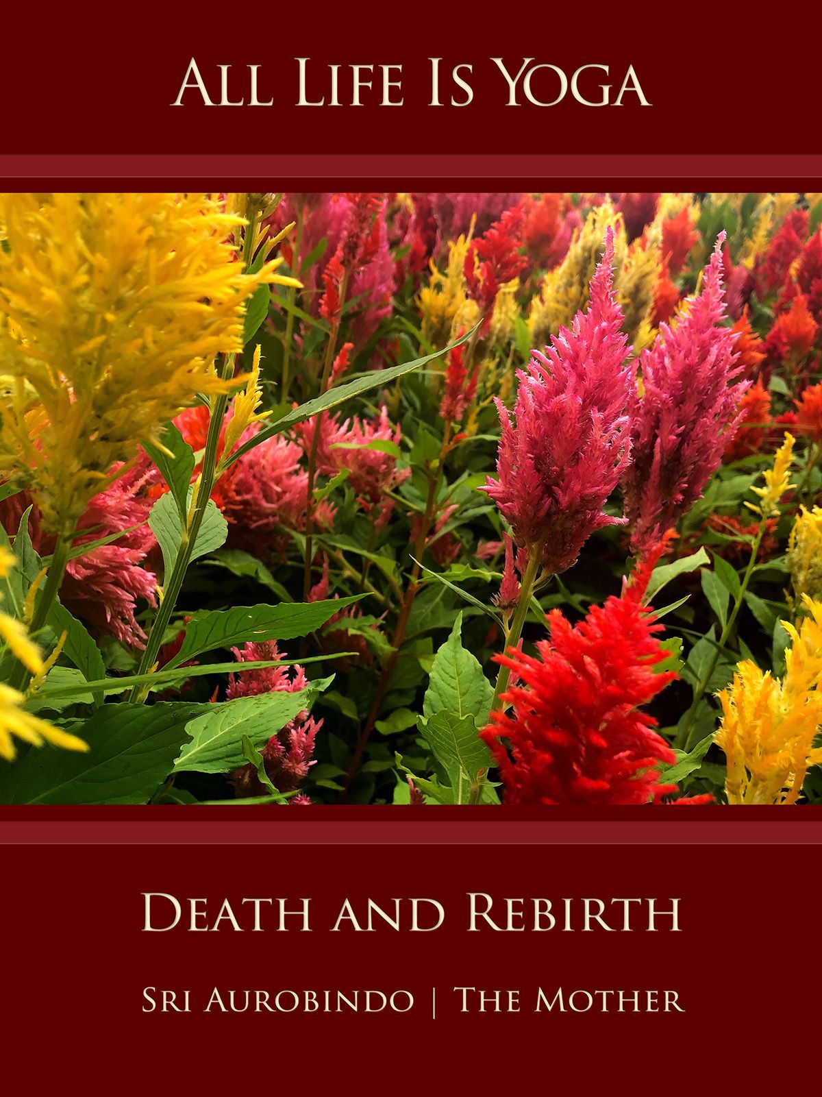 Death and Rebirth
