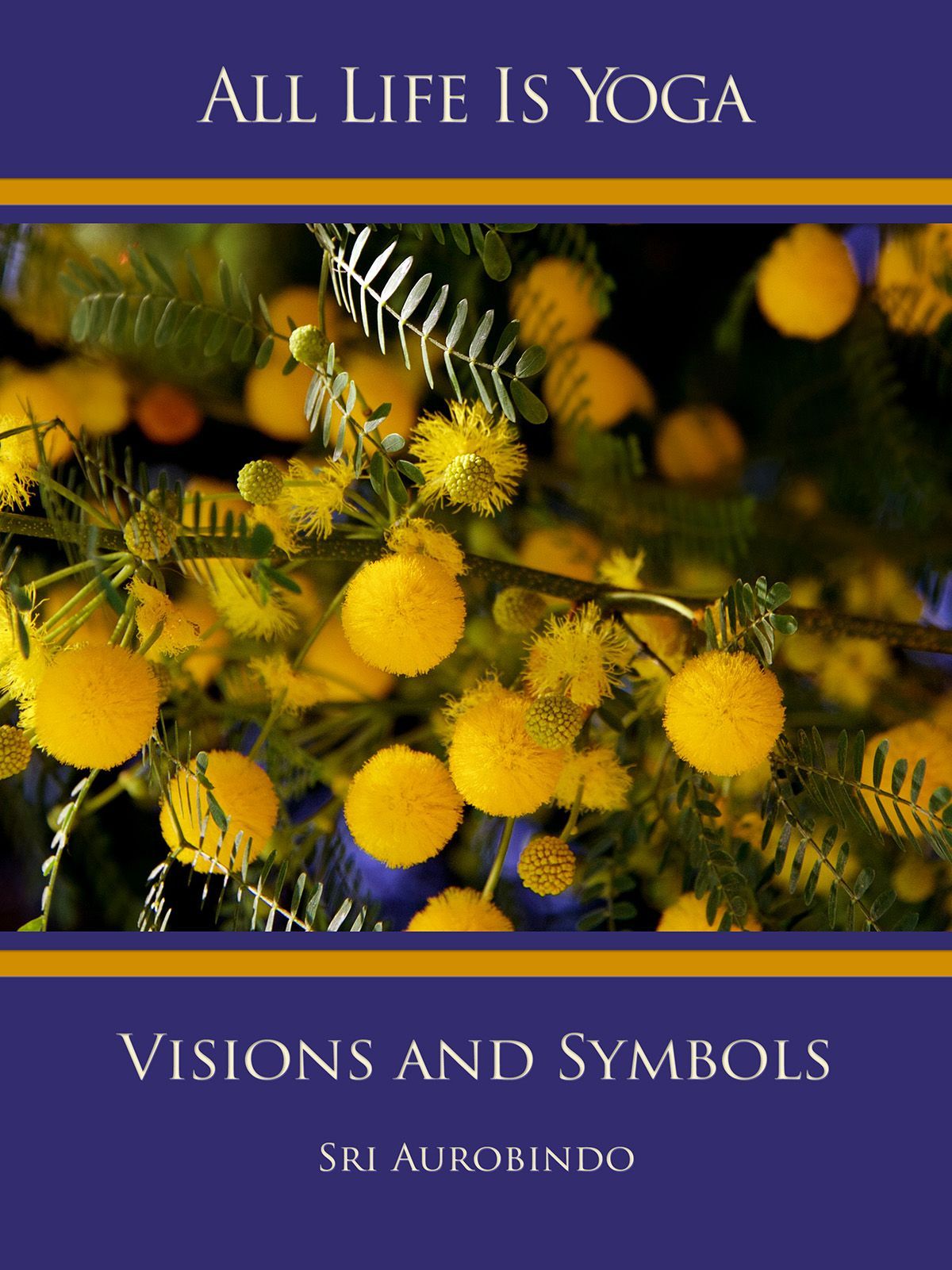 Visions and Symbols