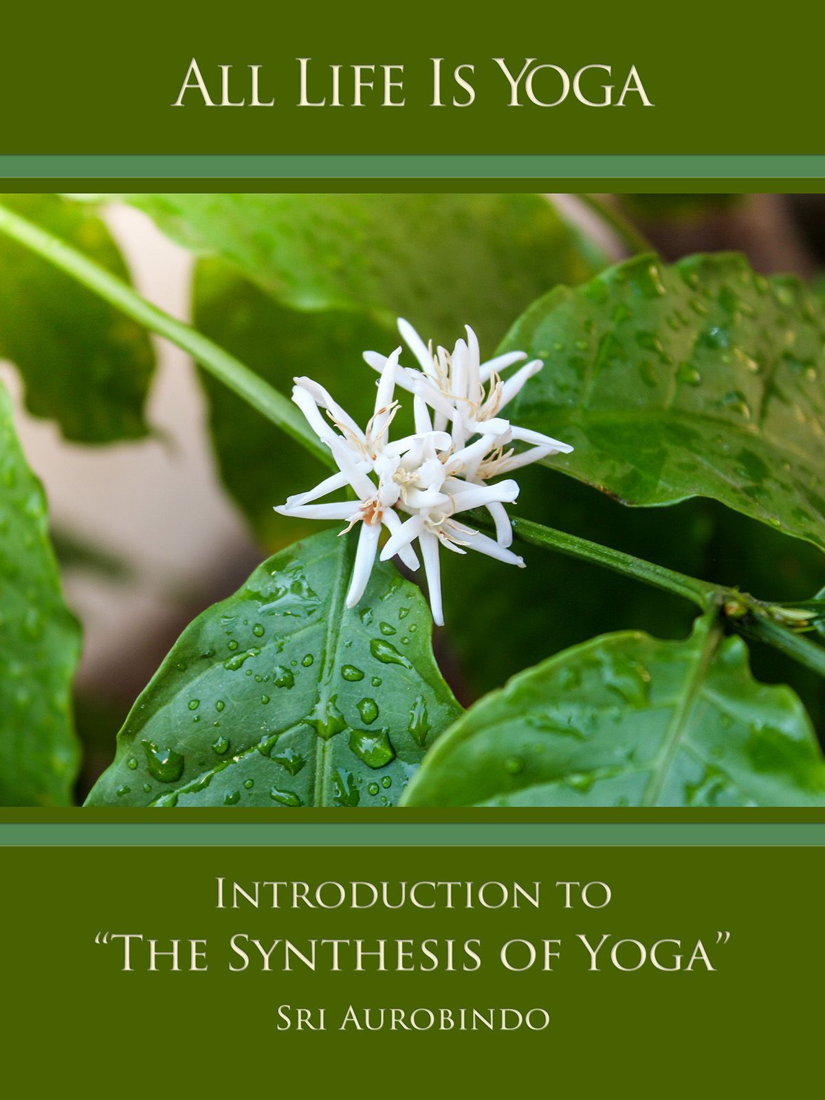 Introduction to The Synthesis of Yoga