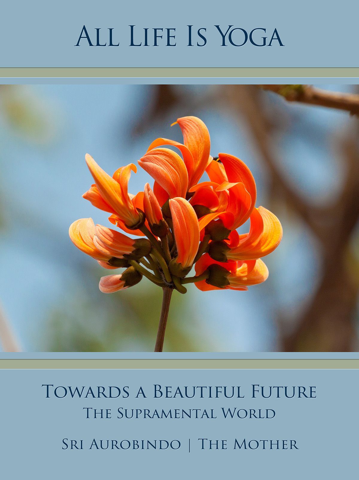 Towards a Beautiful Future