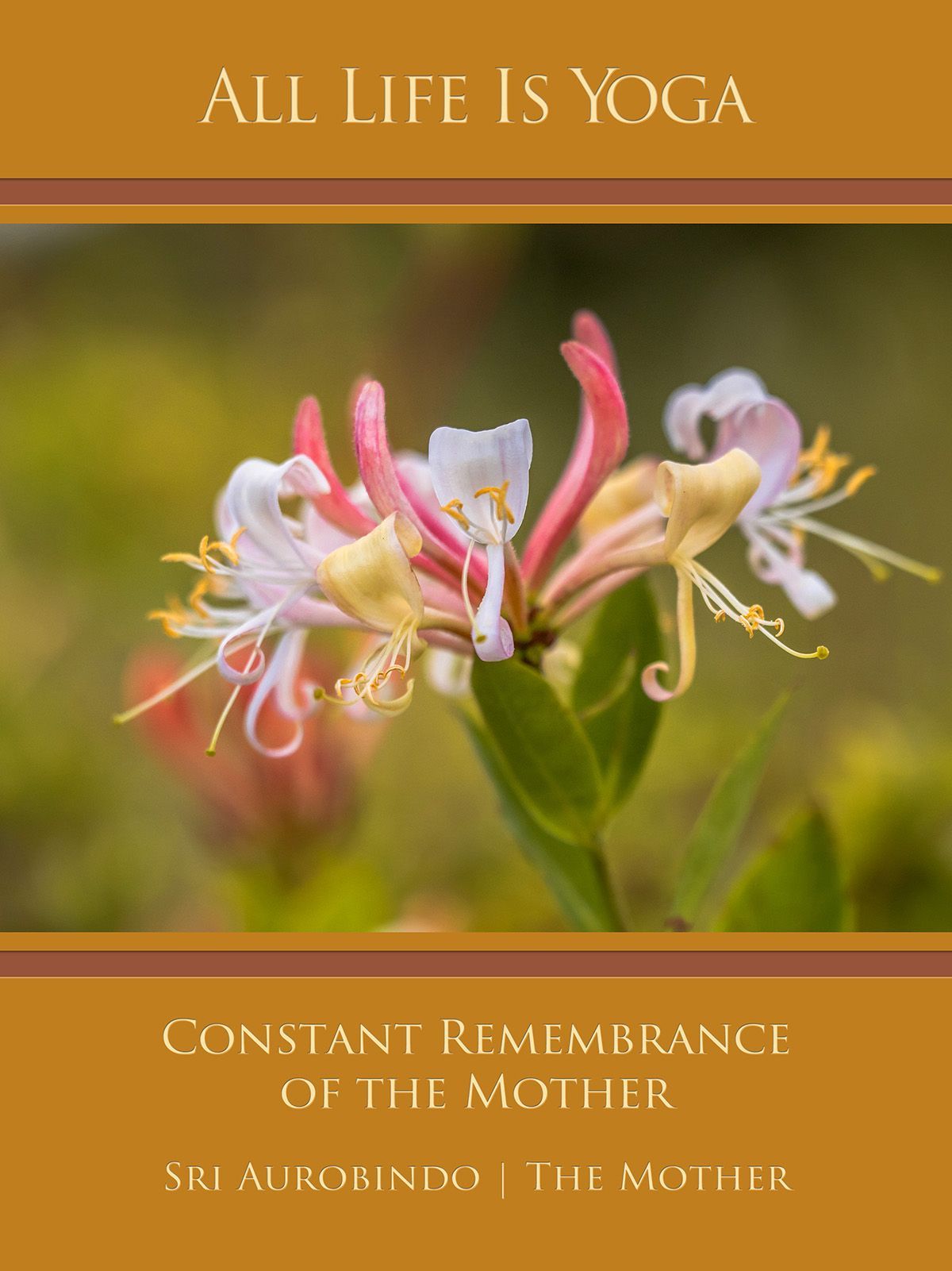 Constant Remembrance of The Mother