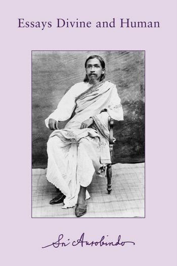 Essays Divine and Human