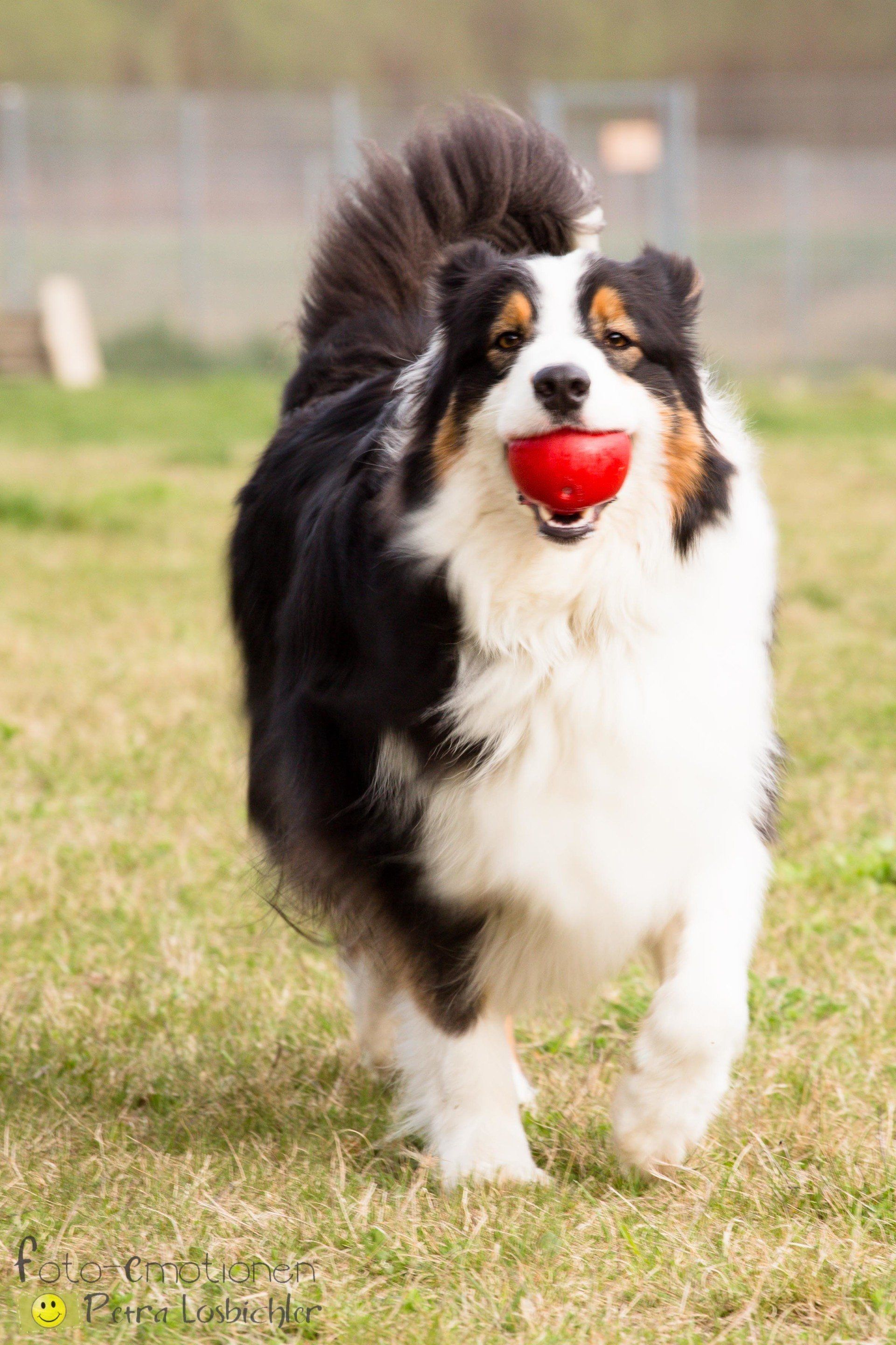 Unique Inspiration Sammy