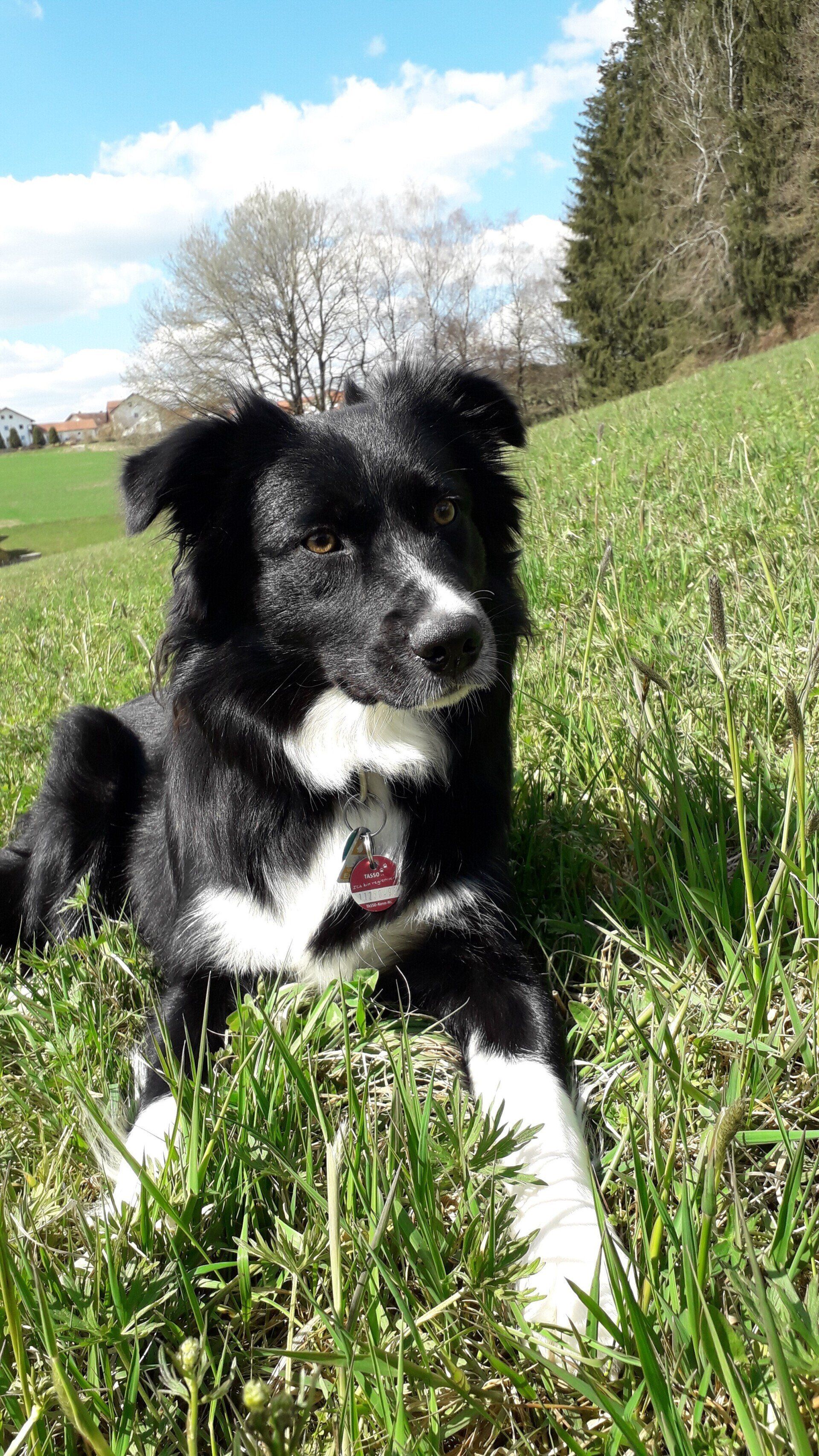 Casa de Filler Isi Unique Inspiration Bonnie