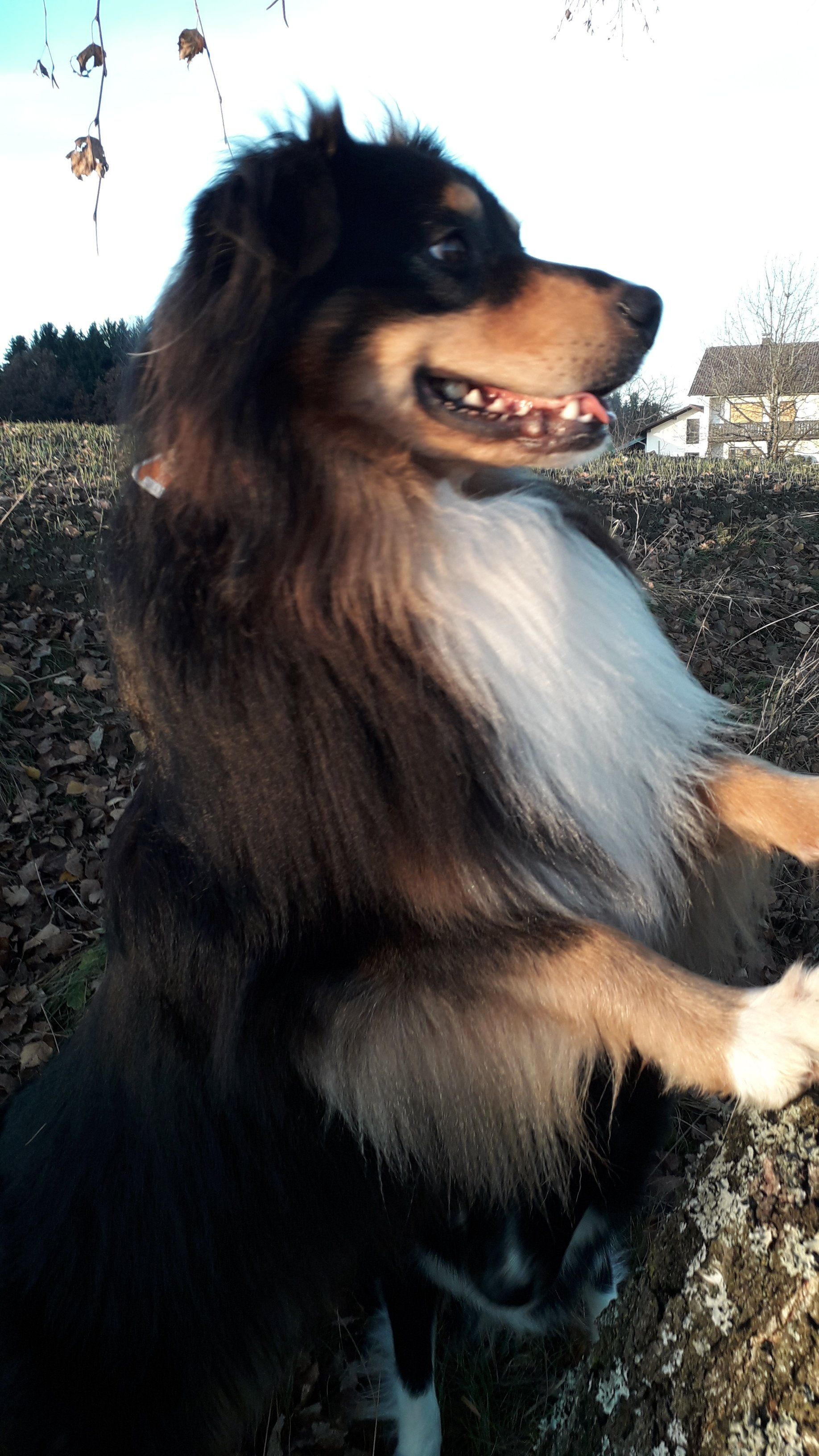 Fascination ID TomTom