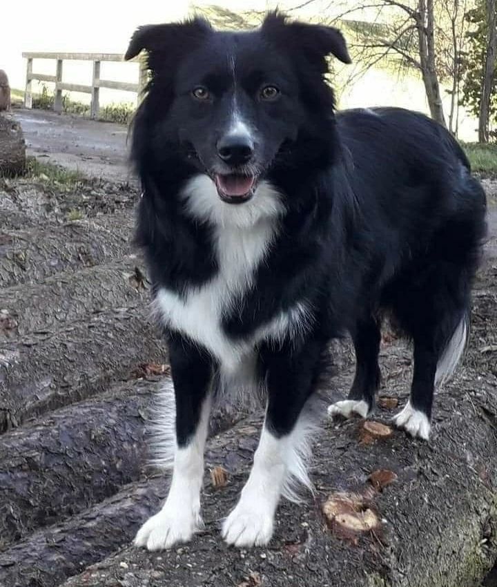 Unique Inspiration - Casa de Filler Isi Unique Inspiration Bonnie