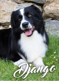 CDF Django Unchained von Angelmayer Casa de Filler Django Unchained von Angelmayer