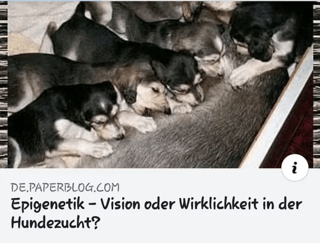 Epigenetik - Vision oder Wirklichkeit in der Hundezucht