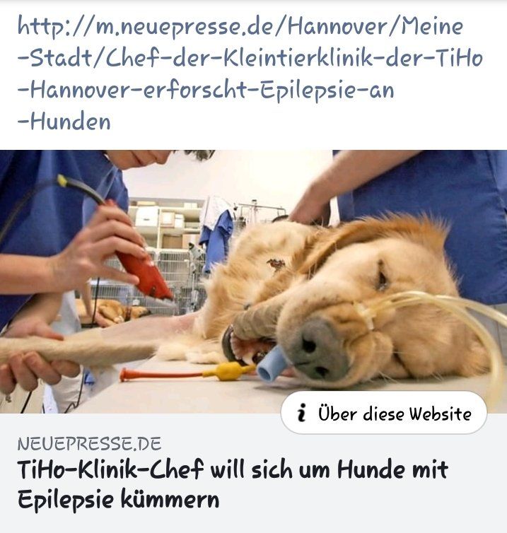 TiHo Hannover-onderzoek naar epilepsie bij honden