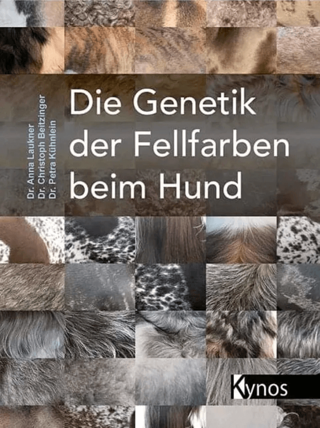 Die Genetik der Fellfarben beim Hund - Fellfarbengenetik