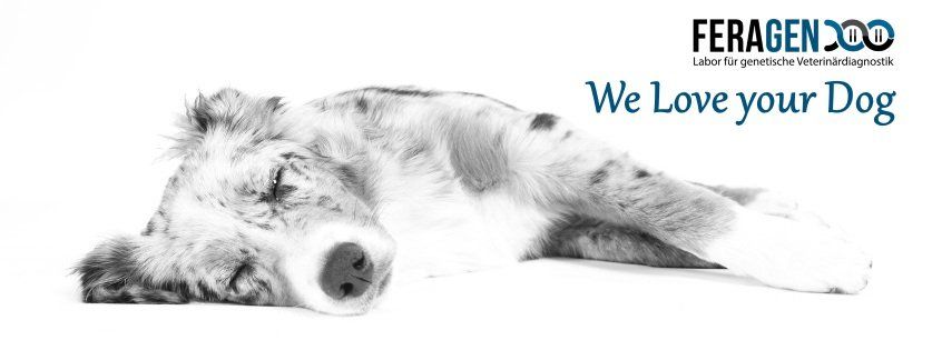 FERAGEN Labor DNA Test für Hunde