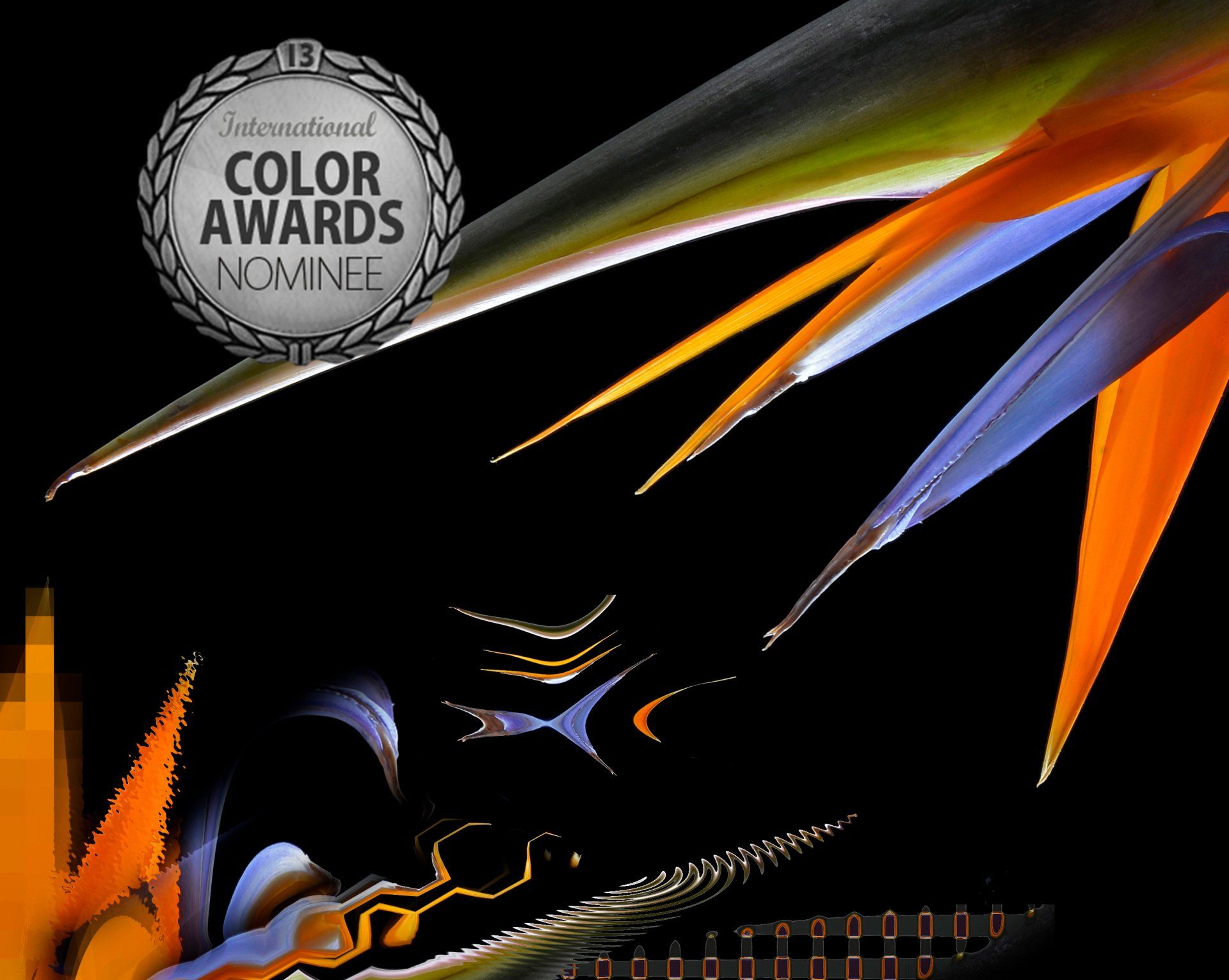 Blumen Strelizie Fine Art