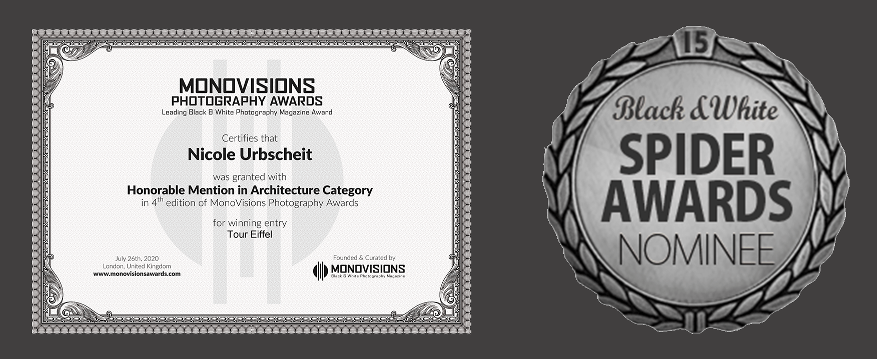 Spider Award Monovision Photography Award
