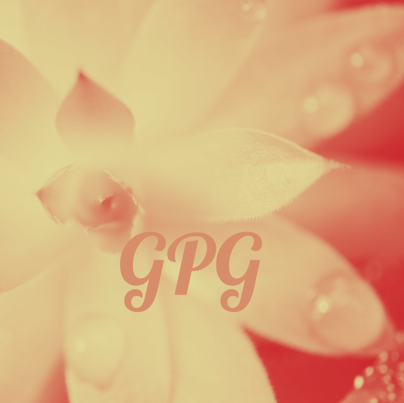 Satzung GPM GPG