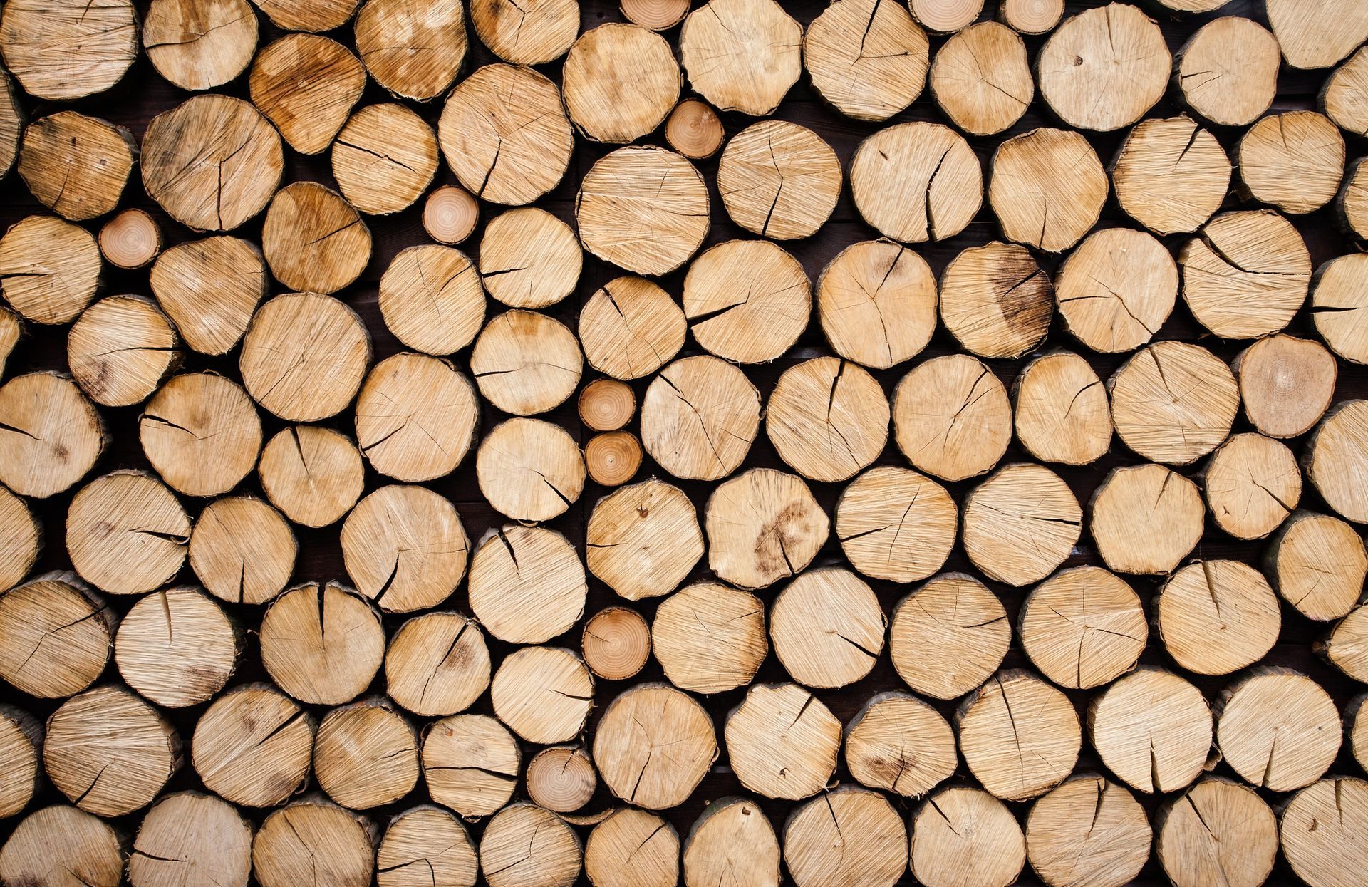 Proveedor de madera tratada