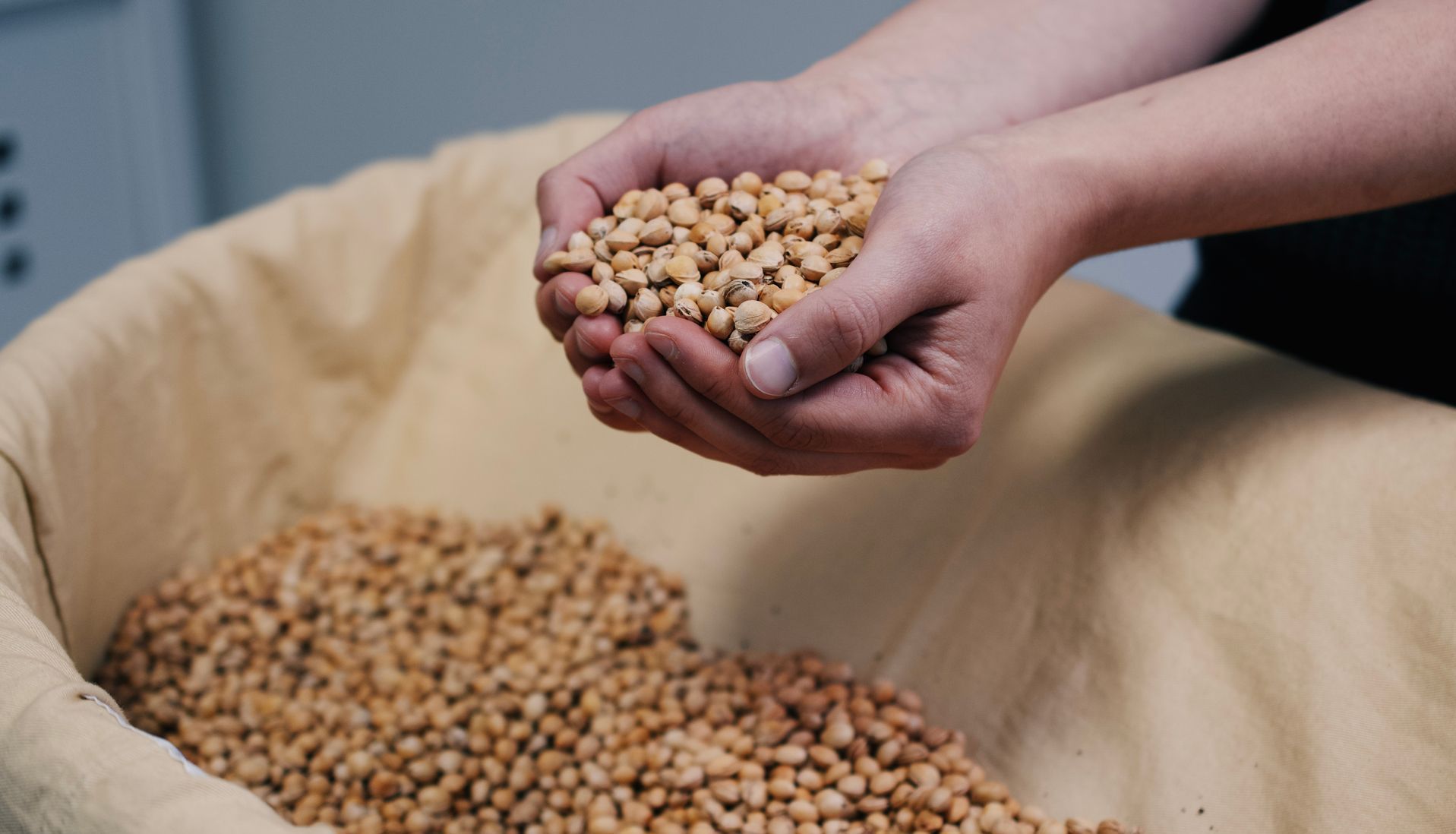 Ergotherapie Hand Finger Ergotherapie für Hand und Finger