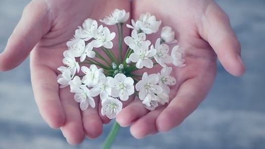 Narben Behandlung Narbenbehandlung Ergotherapie