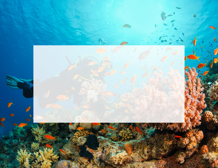 Voyage thématique, plongée sous marine