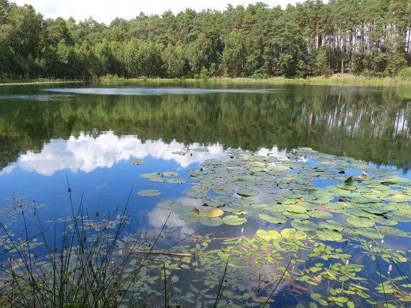 Naturpark Nossentiner- Schwinzer Heide Mecklenburgische Seenplatte, Naturparke, Nationalparke