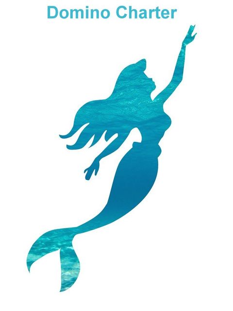 DOMINO CHARTER