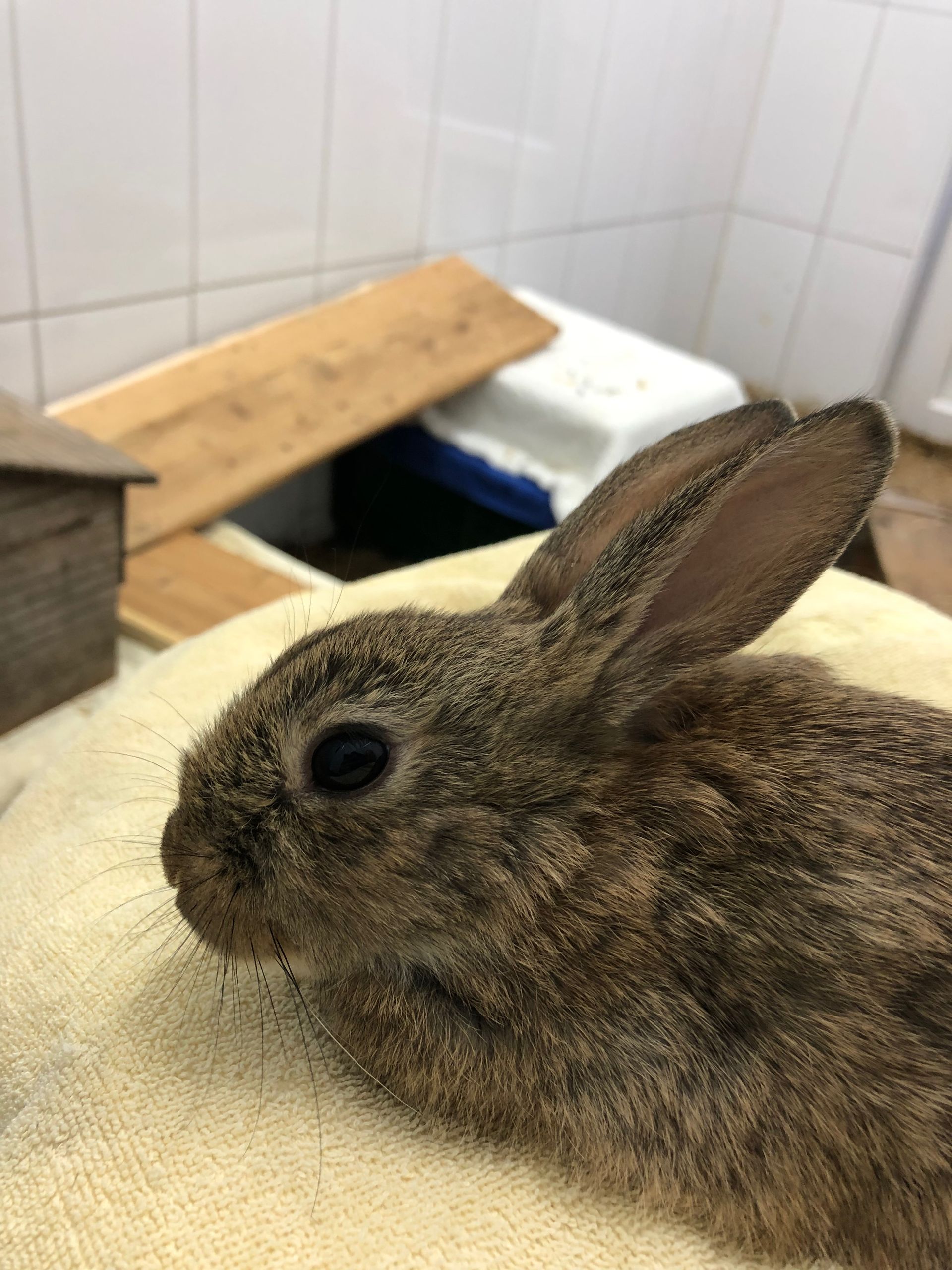 Zurück in die Freiheit