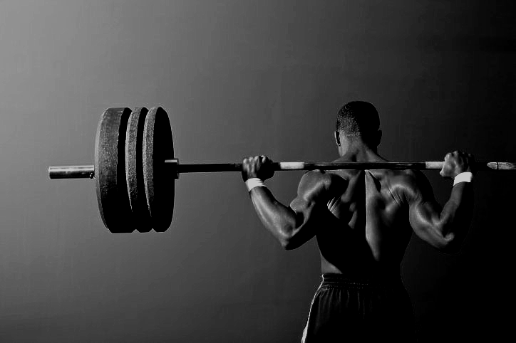 Fette als Energielieferant