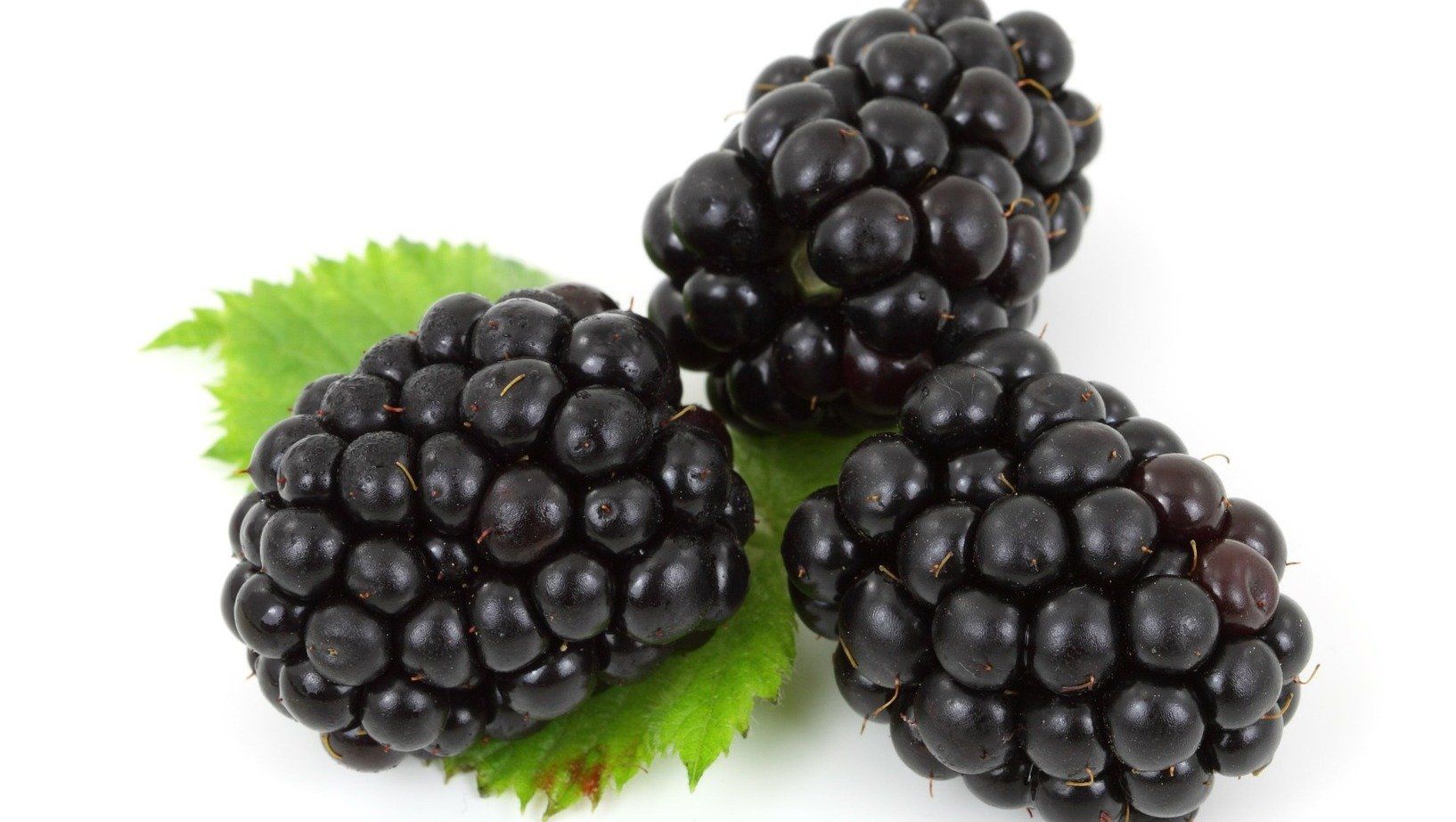 Brombeeren - für Muskeln, Knochen und Blut