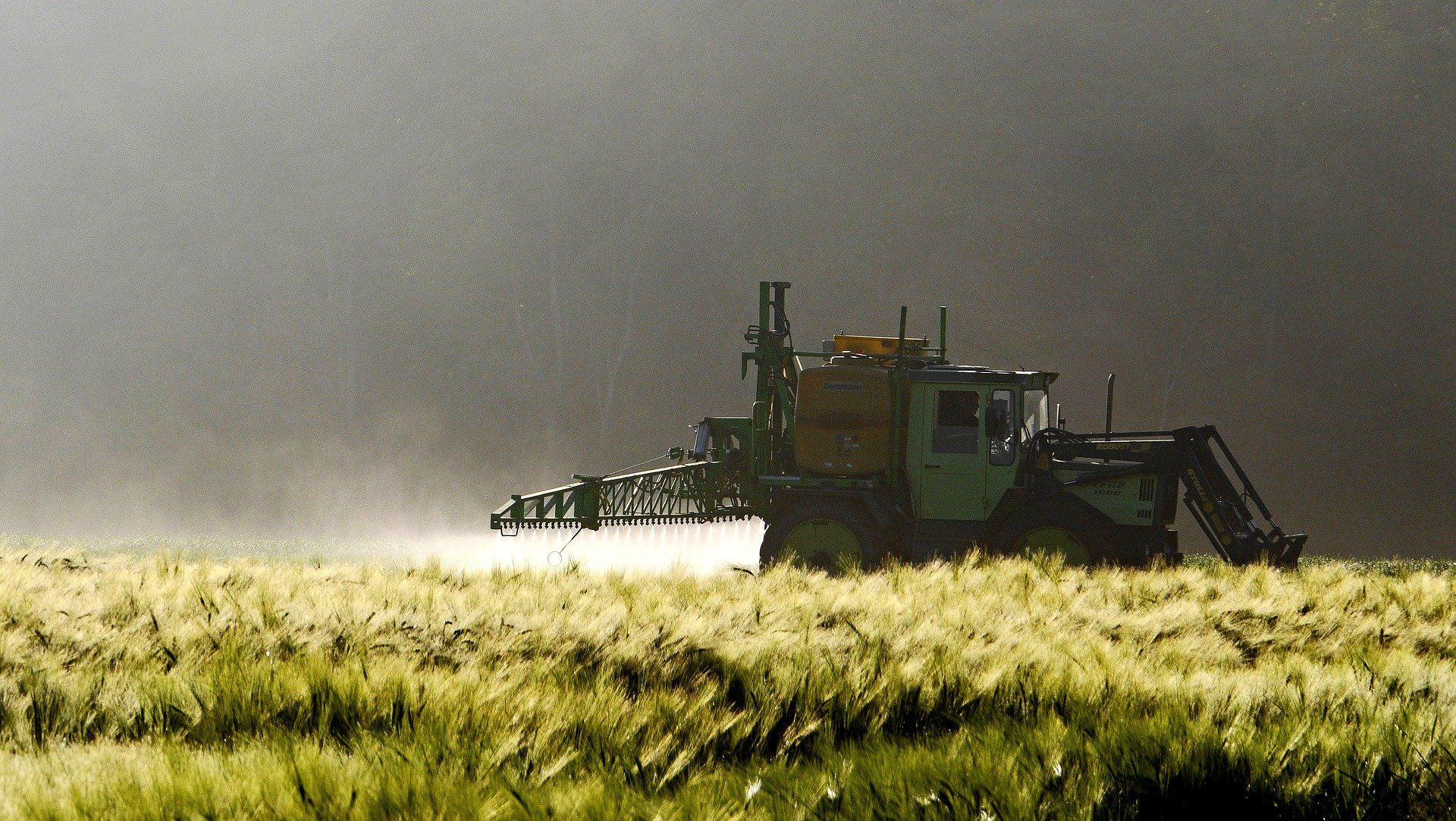 Glyphosat - was du ändern kannst