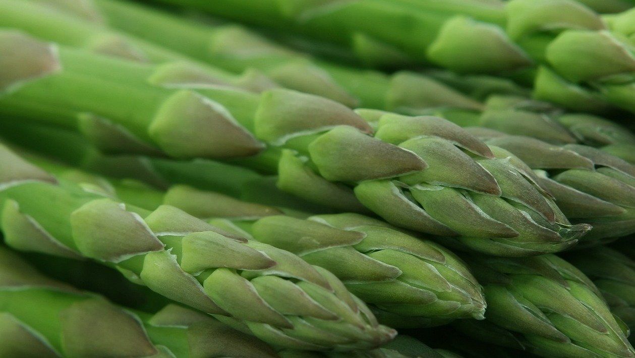 Folsäure - für körperliches Wohlbefinden