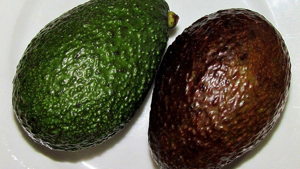 Avocado - Vitalfrucht für Körper und Muskel