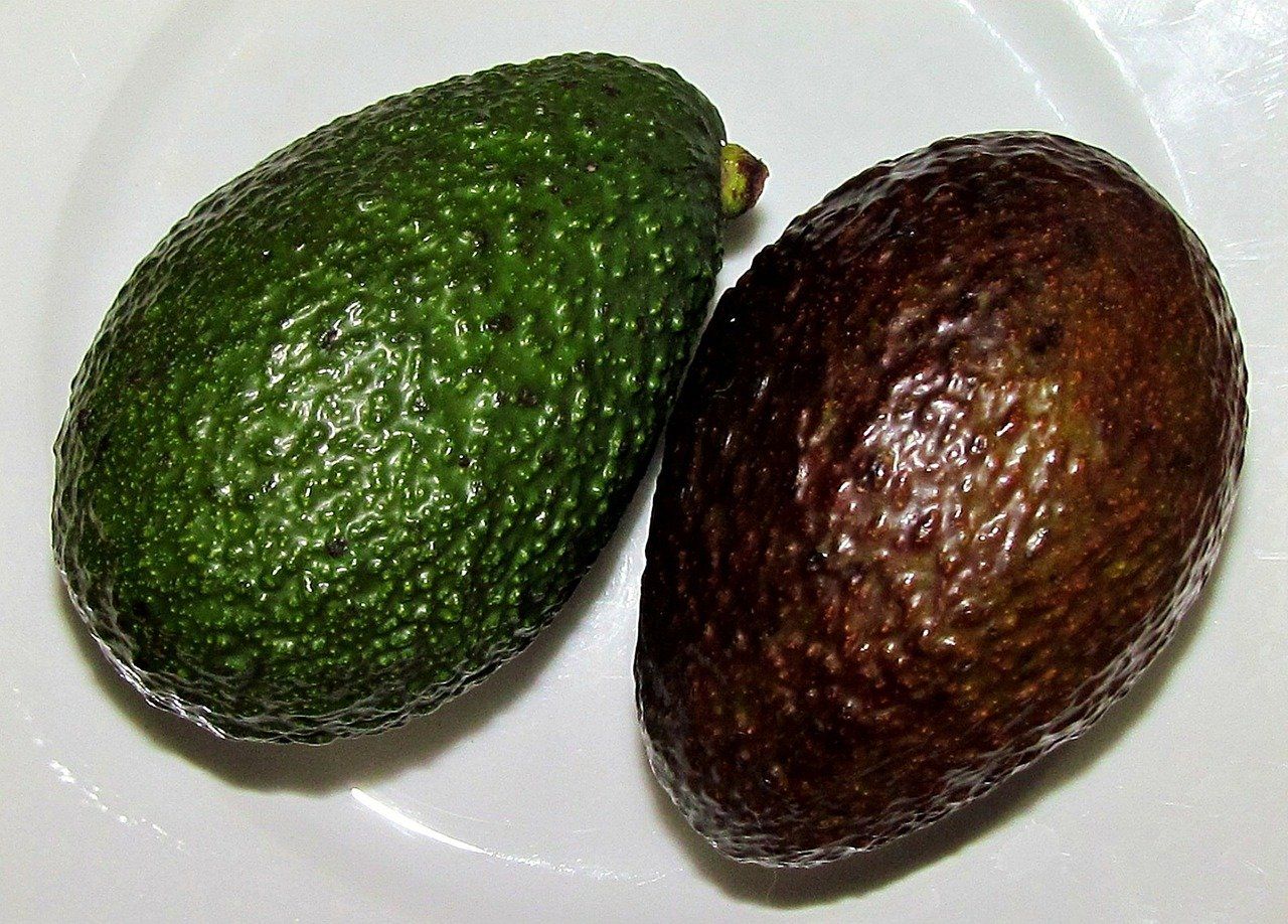 Avocado - Vitalfrucht für Körper & Gesundheit