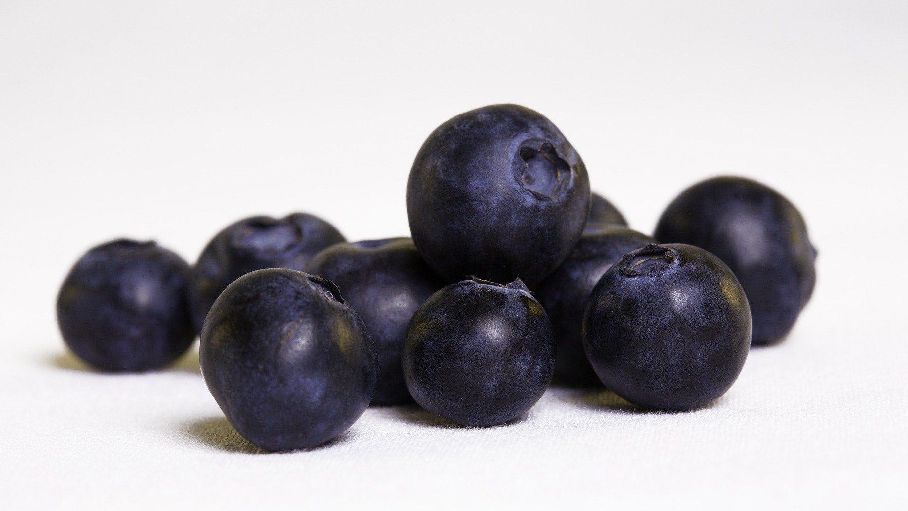 Blaubeeren - reich an Antioxidantien