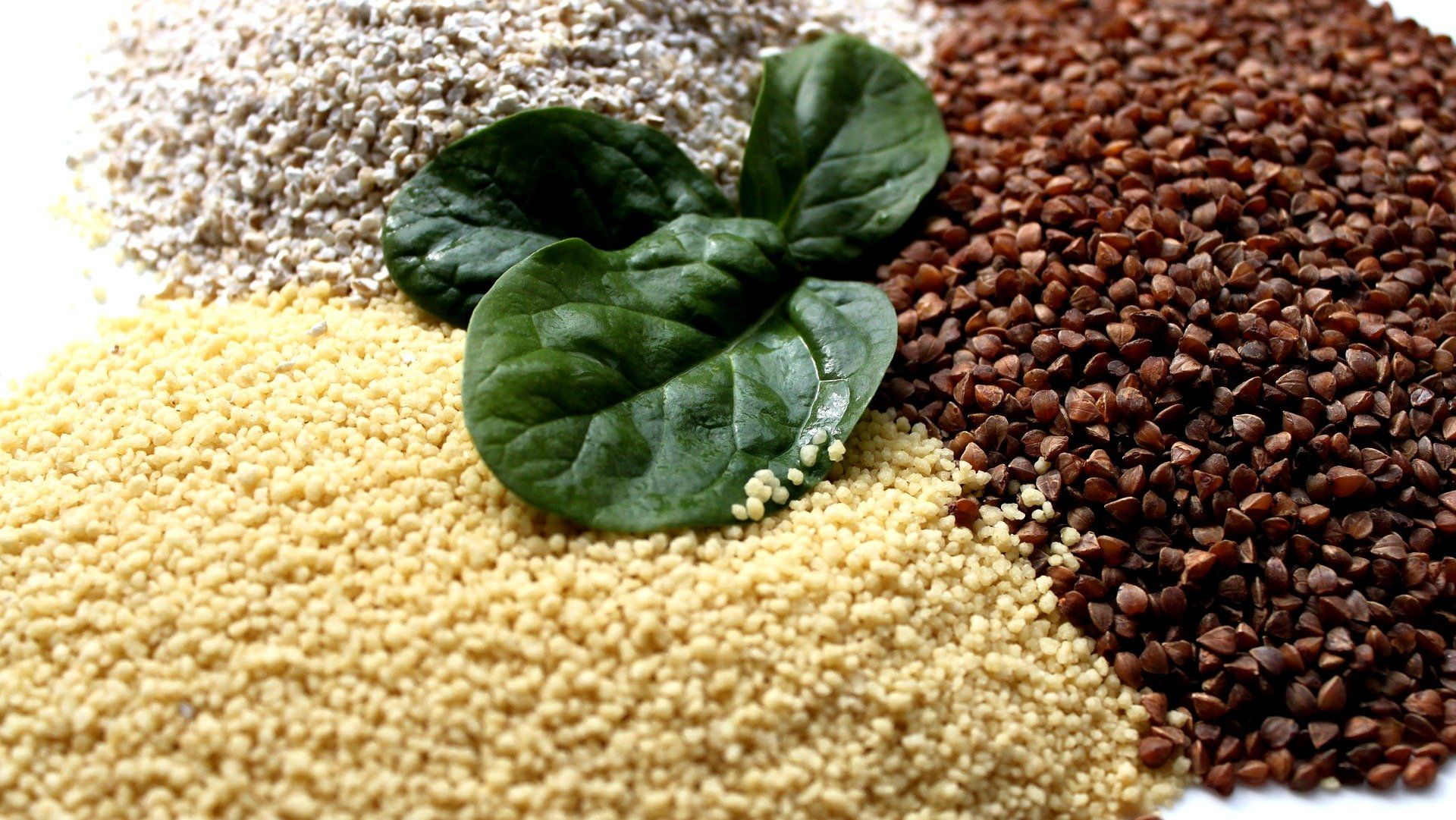 Pseudogetreide liefern hochwertige Eiweisse