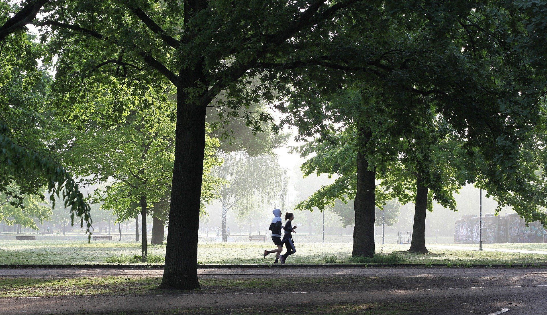 Plogging - fit bleiben und Umwelt säubern