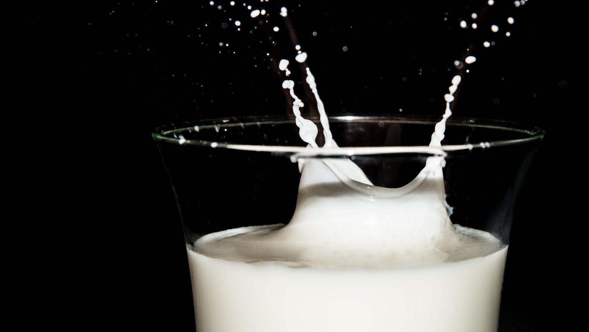 Milch - macht uns krank