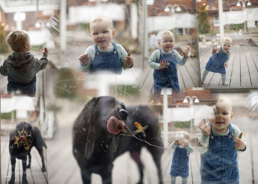 schmutzige Fenster Glasreinigung
