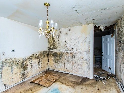 Expert batiment Paris