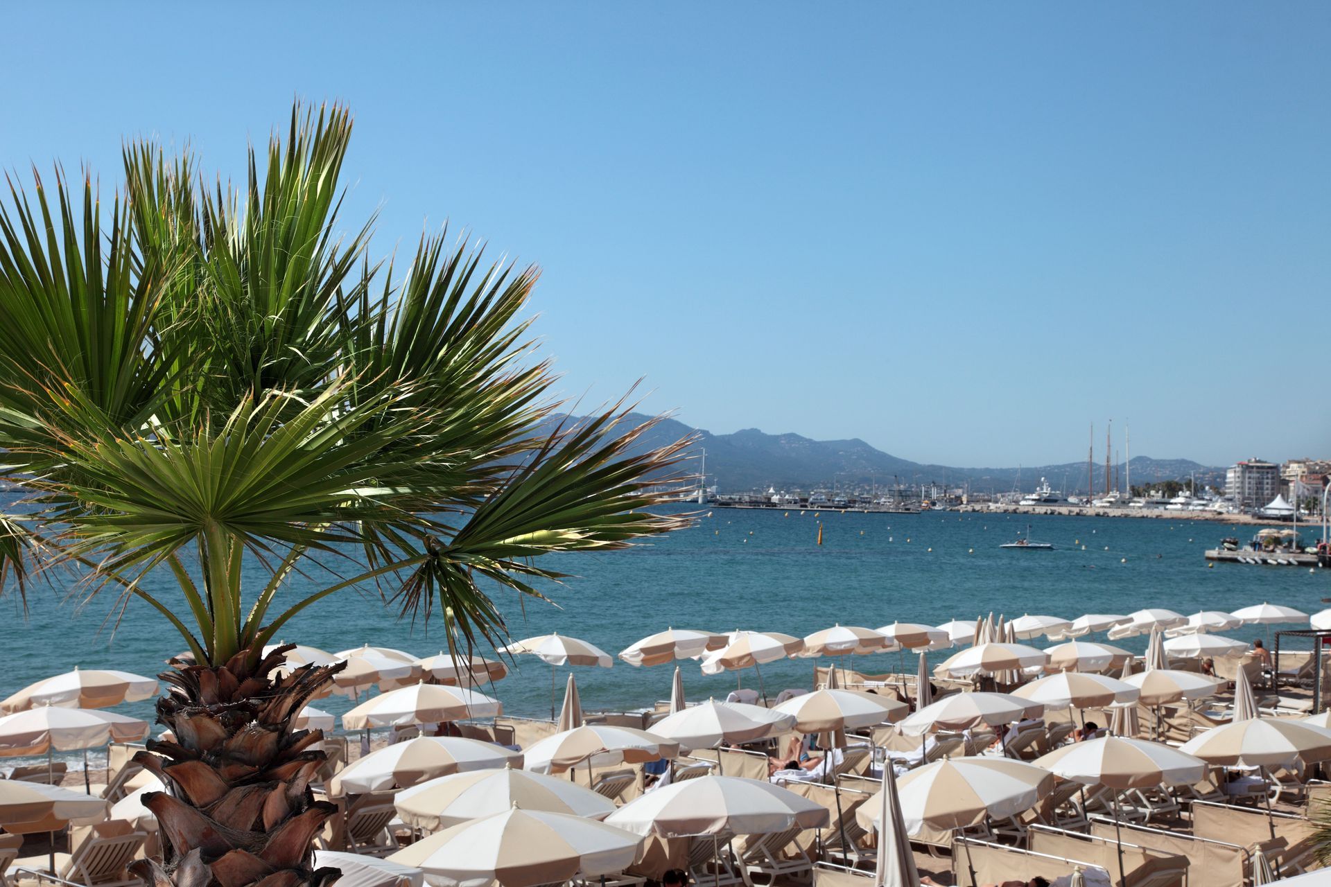 Référencement local dentiste et cabinet dentaire dans les alpes maritimes