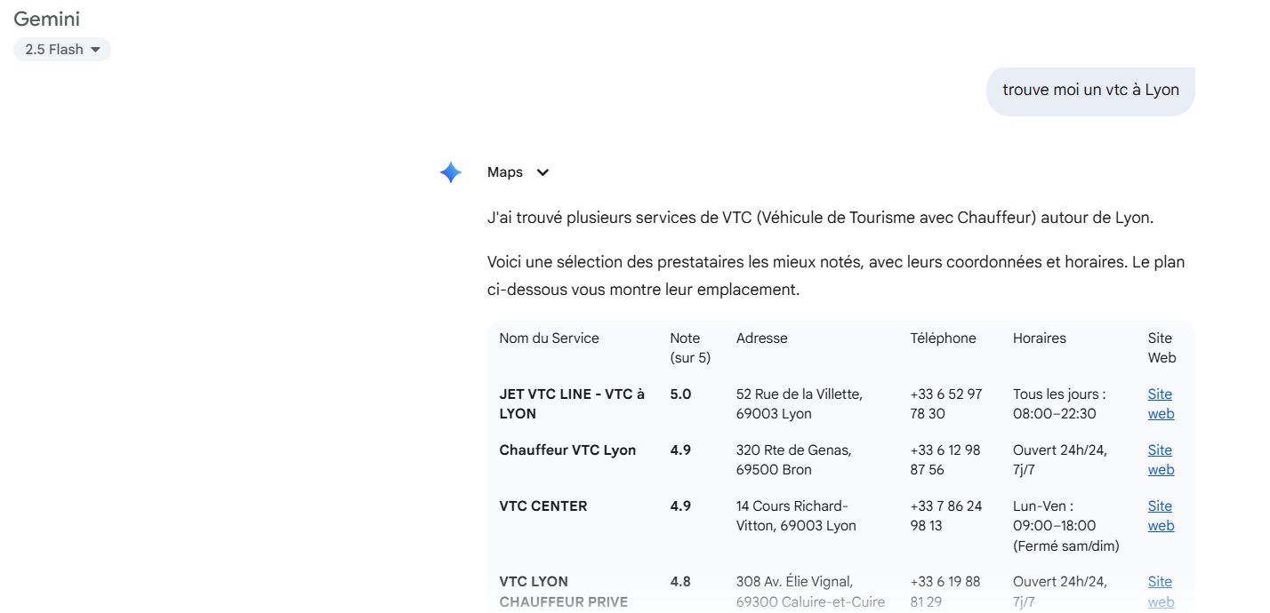 Exemple d'audit local Gemini 2.5 Exemple d'audit local Gemini 2.5