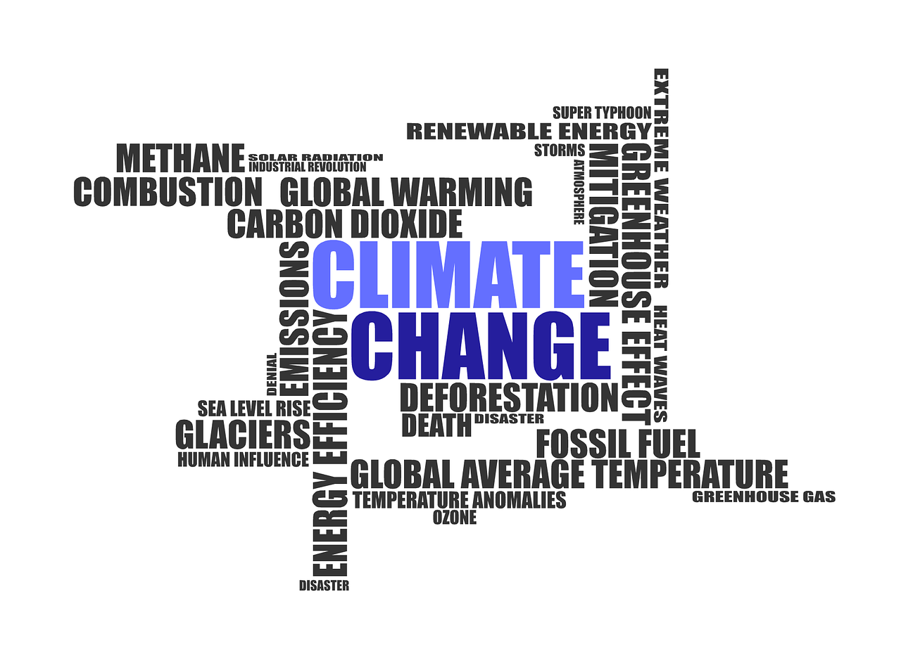 Réchauffement climatique